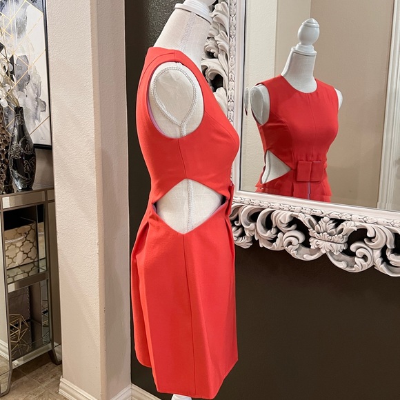 BCBG MaxAzria CUT OUT Colorblock DRESS Size 0 - Picture 6 of 9
